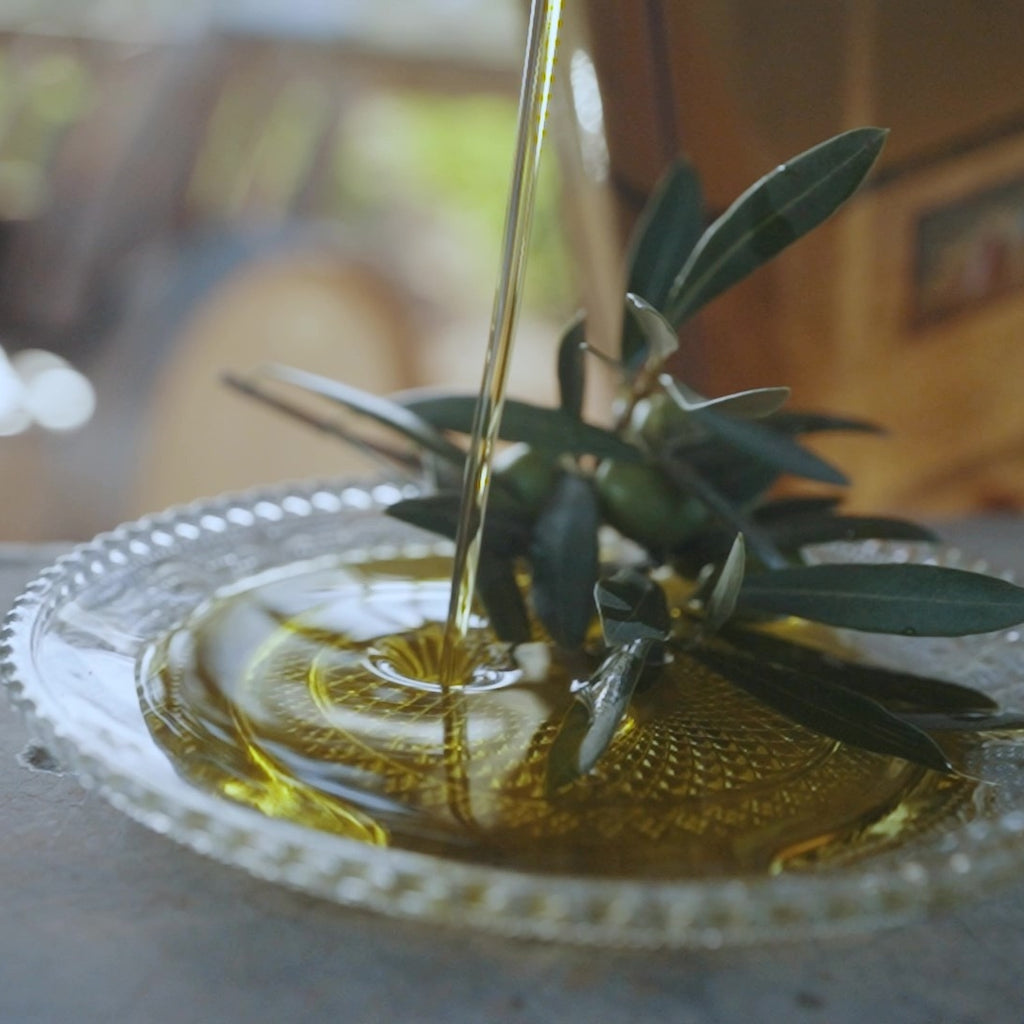Olive grove in Utiel, Valencia, Spain — Food Trader