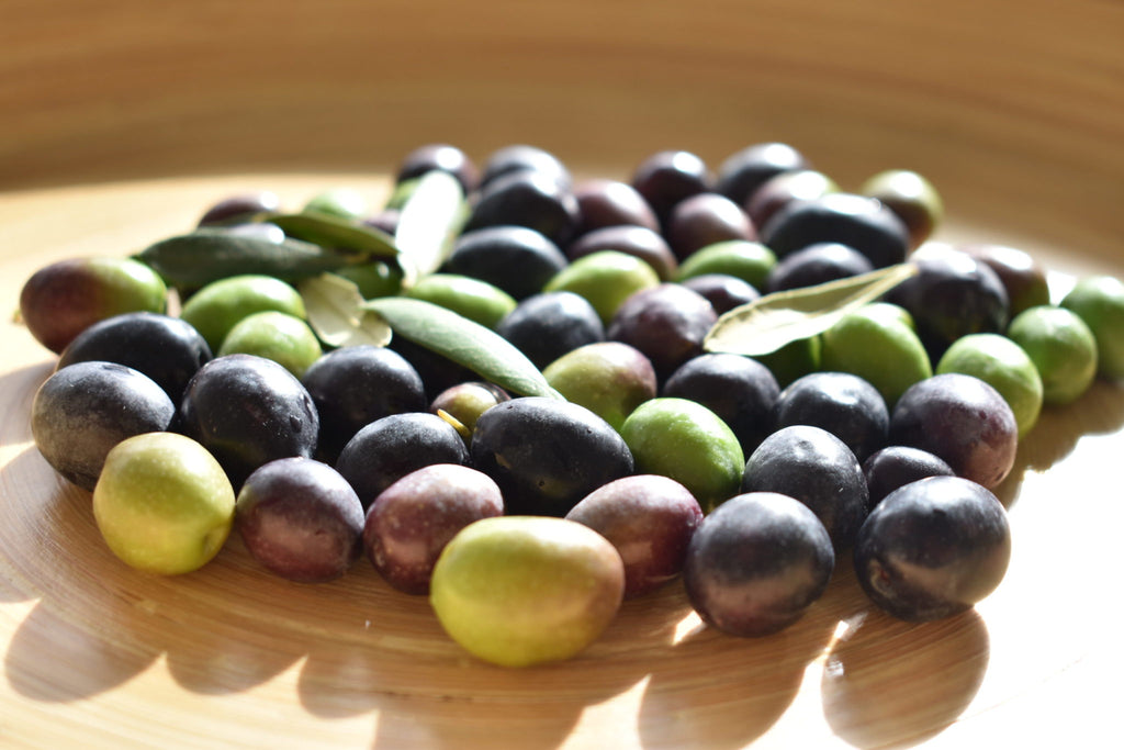 Ripe olives on the branch, Sierra de Utiel — Food Trader